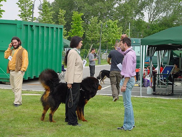 Immagine 027.jpg
